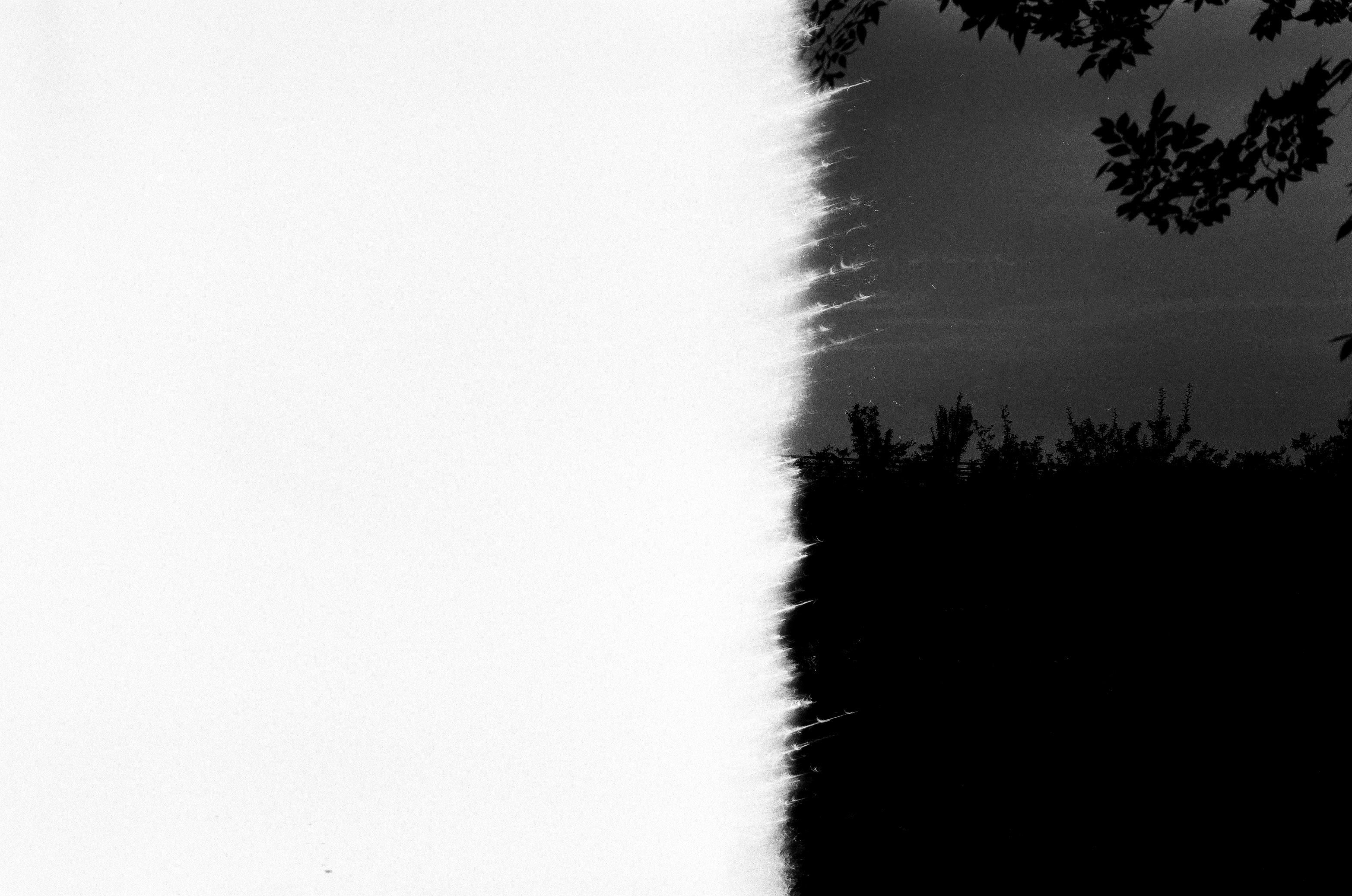 000169220038